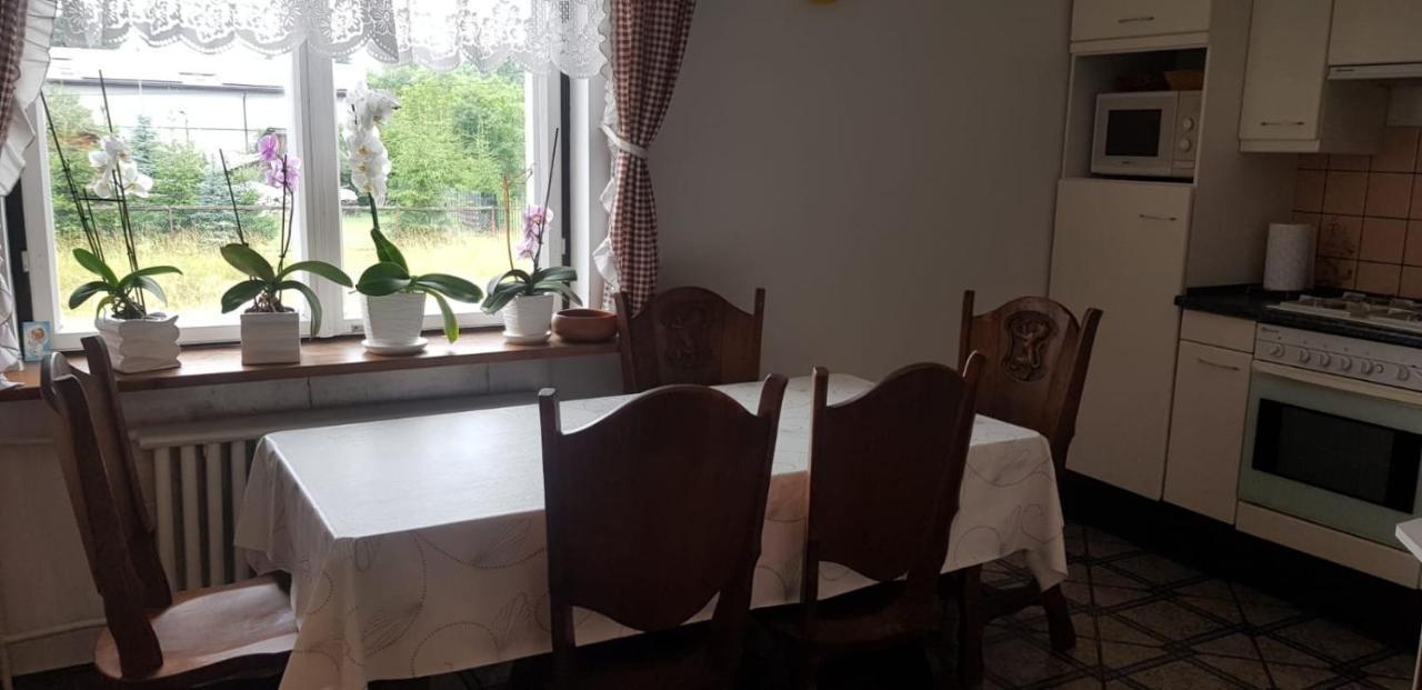 Świerkowy Zakątek Krasnobród Zewnętrze zdjęcie