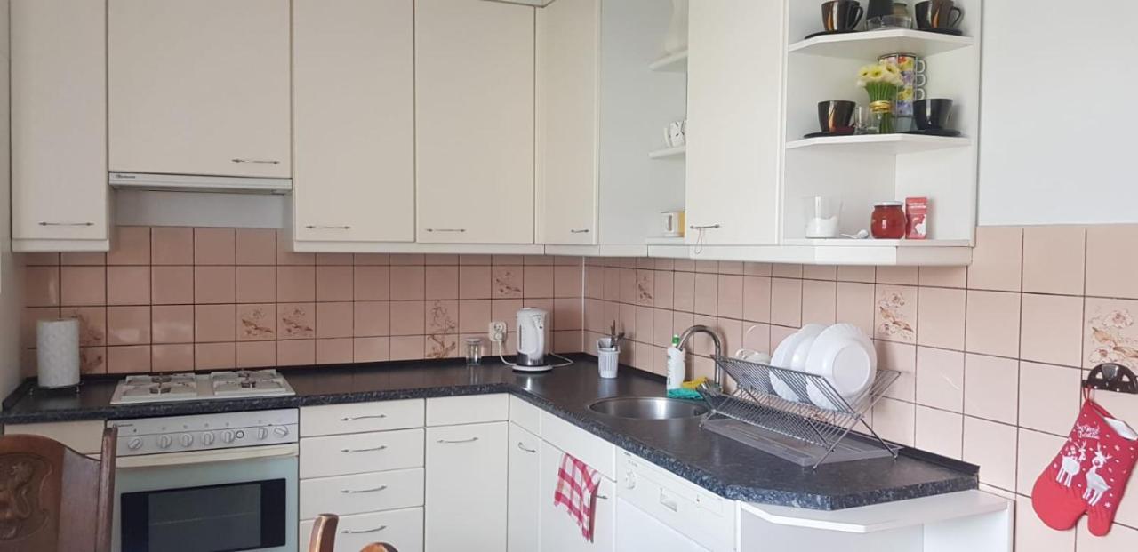 Świerkowy Zakątek Krasnobród Zewnętrze zdjęcie